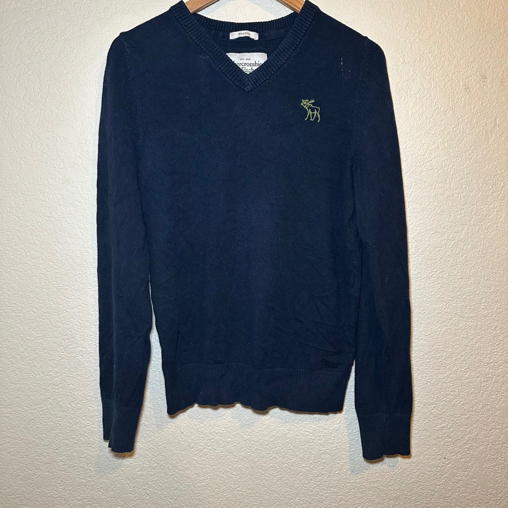 VTG Abercrombie & Fitch Mens M Sweater Muscle Fit V-Neck Moose Logo Preppy Basic